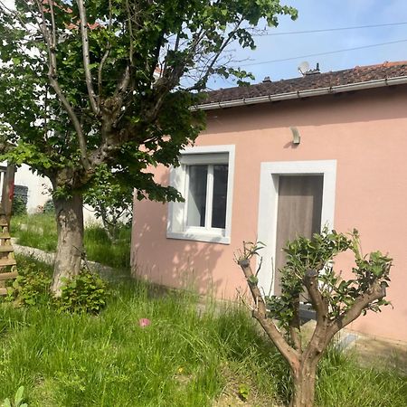 Charmante Maison Avec Jardin Aux Portes De Paris Vitry-sur-Seine Eksteriør bilde